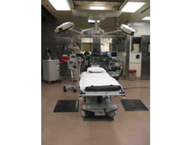 2 hour Behind the Scenes Tour of the San Diego Zoo Safari Park Veterinary Hospital