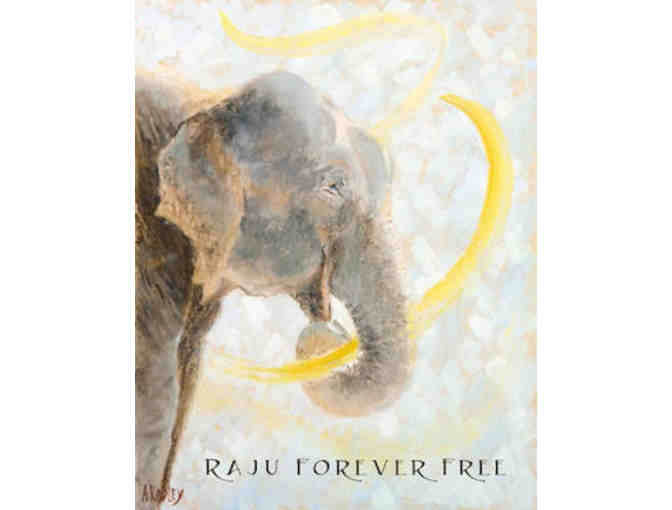 'Raju Forever Free Collection' - The ultimate package!