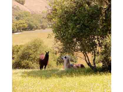 4 night stay in Steinbeck Country - Monterey, CA