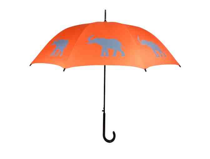 Gift Basket from The Dog House of Safety Harbor