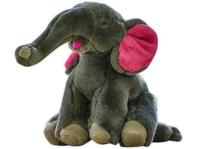 Gift Basket from The Dog House of Safety Harbor