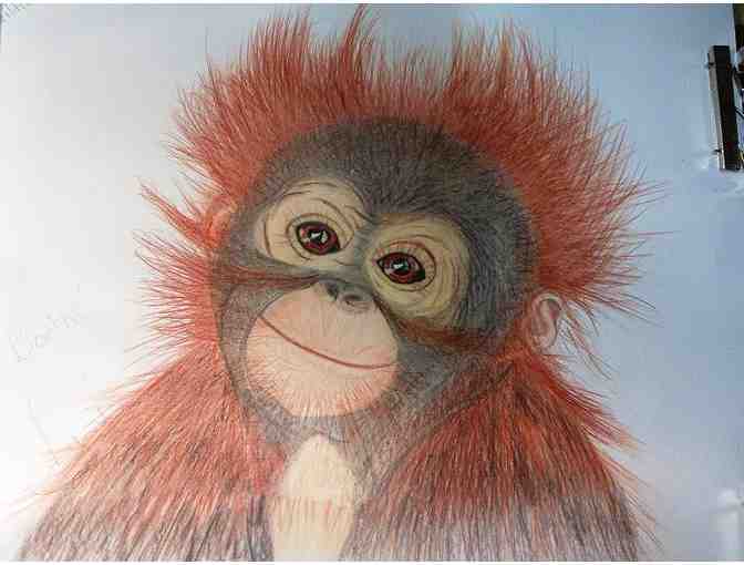Lynda Colley Animal Drawings - 'Bodhi'