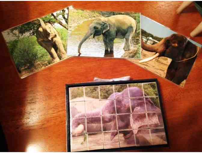 Wildlife SOS Elephants Photo Picture Cube Puzzle