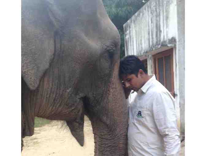 Commemorative White House Ornament