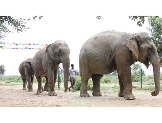 Breakfast- Set of two mixed media canvasses