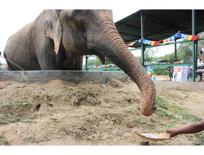 Raju Forever Free Pendant blessed by Raju