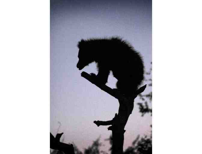 Ruby Ring with White Topaz Accents