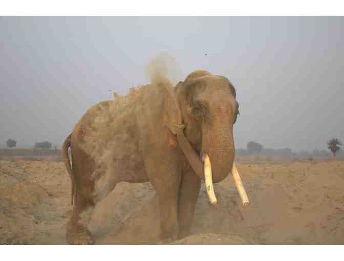 Sterling Silver Elephant Brooch