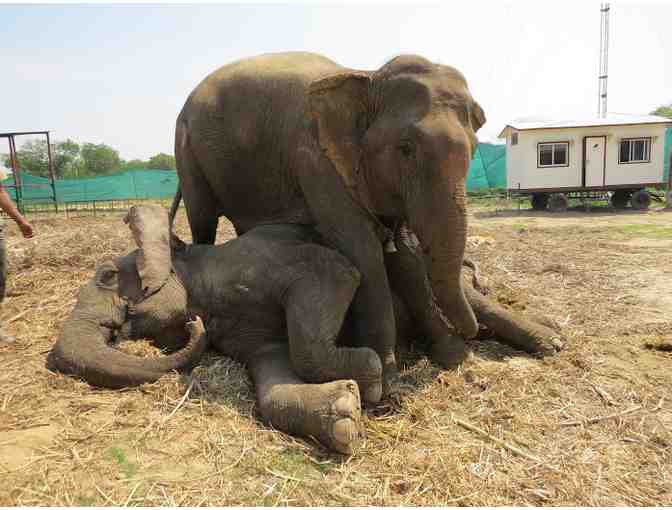 Shift Training Course by Aron Stein