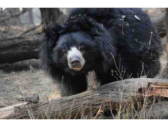 Champagne Gift Box from Champagnalia