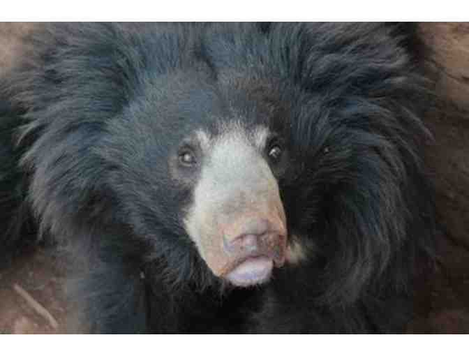 Starbucks Gift Card - $20