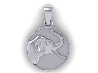 Suraj Sees the Sun Silver Pendant- Blessed by Suraj