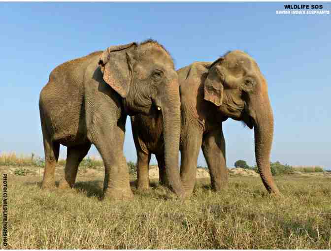 Rewined candle and soap collection