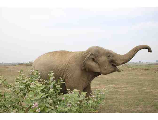 Emoji Heart Smiley - 6-Month Onesie