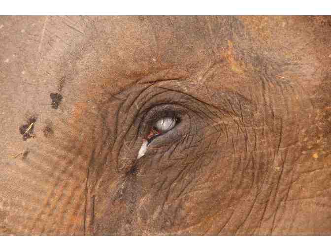 Suzy's footprint on black canvas