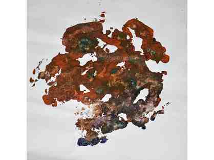 Mia's first foot print as a free elephant