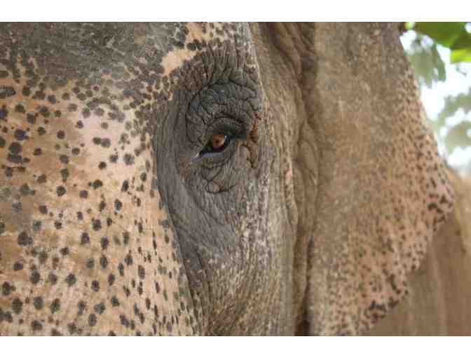 Signed and Framed limited edition Graffiti art by Greg Lamarche