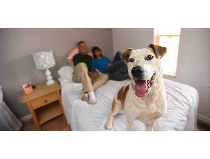 2 nights stay in Best Friends Animal Society cottages package