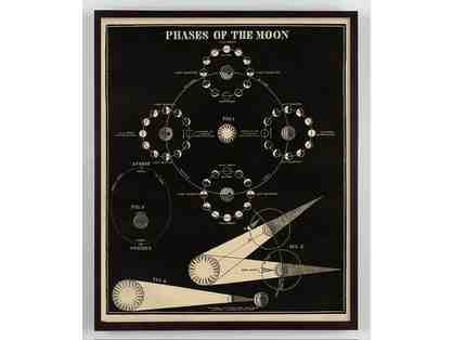 Three Prints: Phases of the moon print ,moon print, Henry Miller quote
