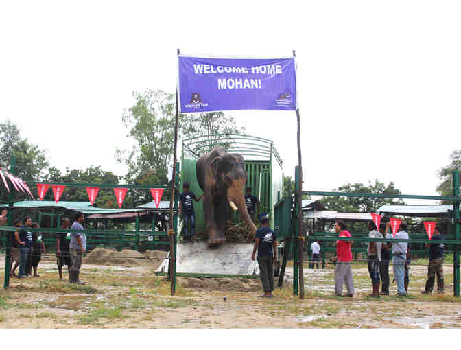 Mohan 'Freedom' Flags - greeted him at the ECCC upon his arrival