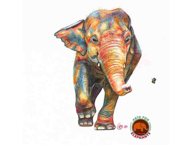 8 Elephant Art Cards and Set of Elephant Coasters - Photo 5