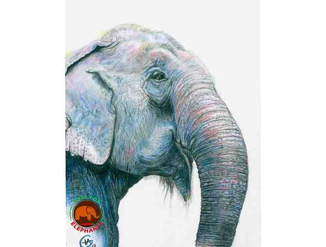 8 Elephant Art Cards and Set of Elephant Coasters - Photo 3
