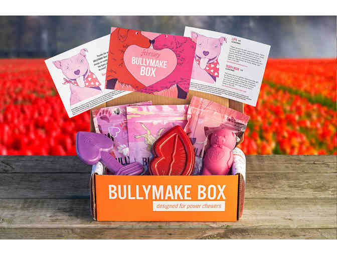 Bullymake Box for Dogs - 3 month subscription
