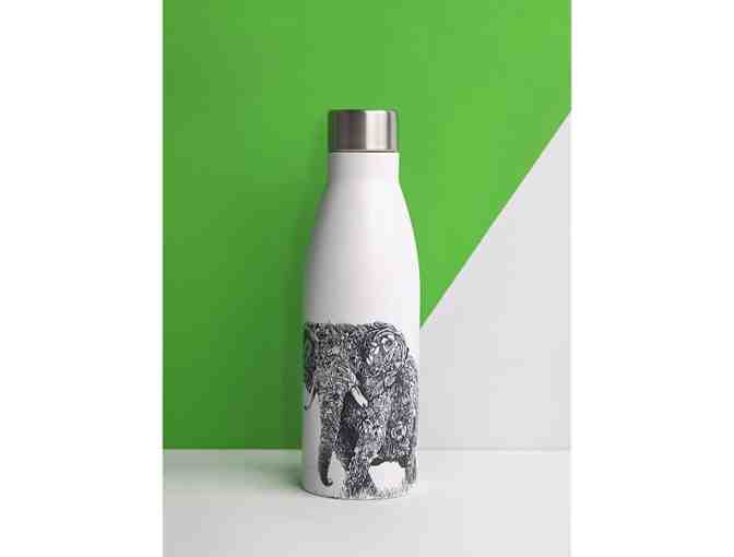 2 Nathan Ferlazzo Items: Stainless Steel Water Bottle and Tea Towel (funds conservation)
