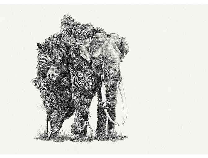ASIAN ELEPHANT by Nathan Ferlazzo to Support World Animal Protection