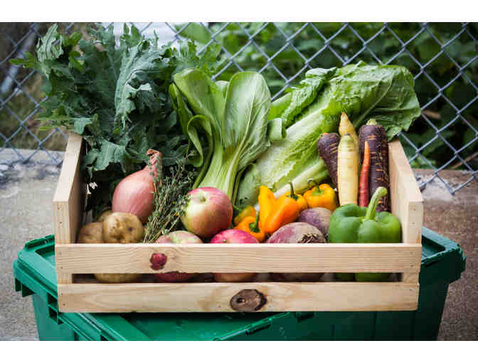 Boston Organics - Two Boxes of Organic Produce