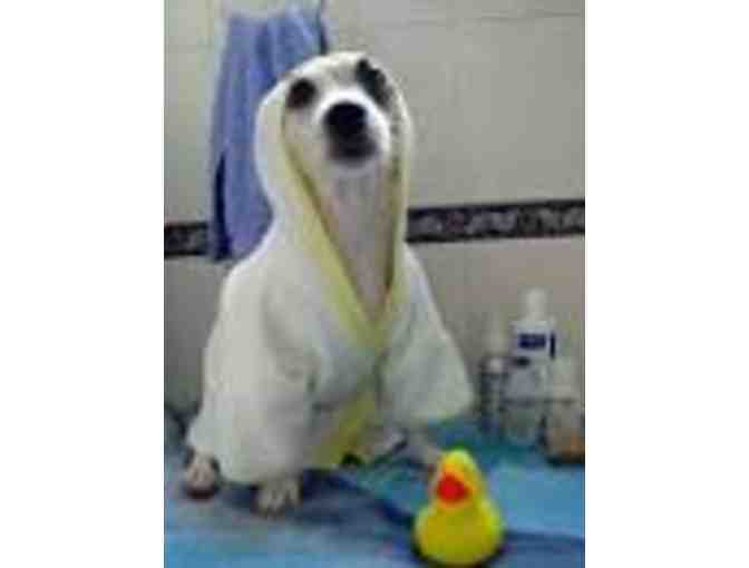 B.Y.O.D. - Self-Serve Uber Spa