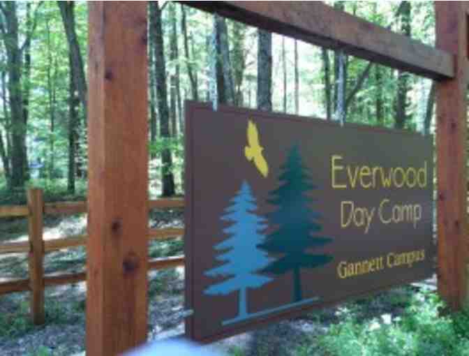 Everwood Day Camp - One (1) Week Session