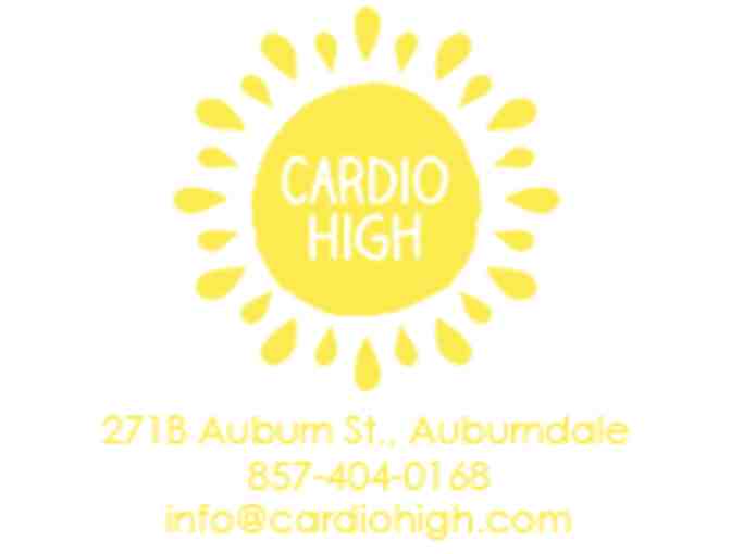 CardioHigh - Private Group Fitness Class and Heart Monitor