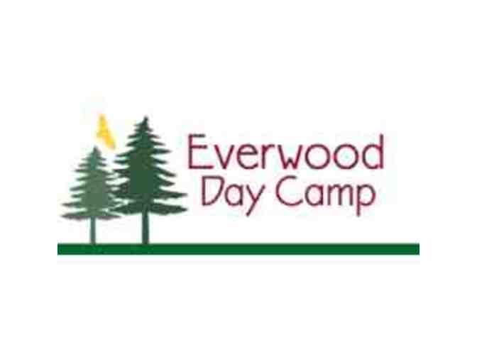 Everwood Day Camp - $325 toward a Summer 2022 Experience