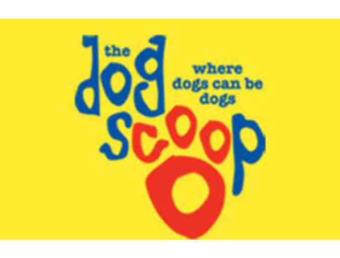 The Dog Scoop - $300 Gift Certificate Toward ANY Service