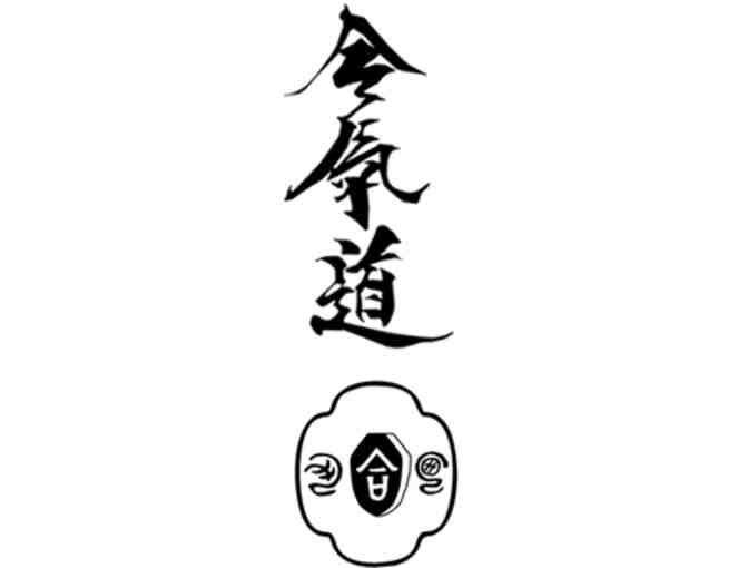 The Dojo - $100 Aikido Membership - Adults only