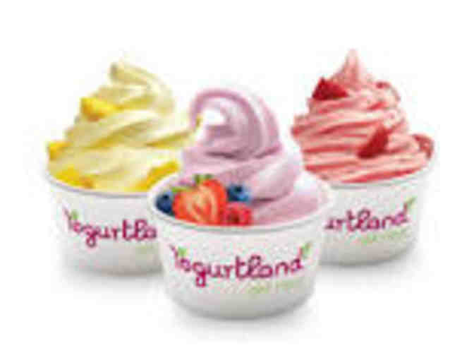 Yogurtland @ Pico & Lincoln - Yogurt Party for 5 Yogurt Lovers!  #1