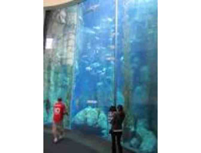Long Beach Aquarium of the Pacific - 2 Admission Passes