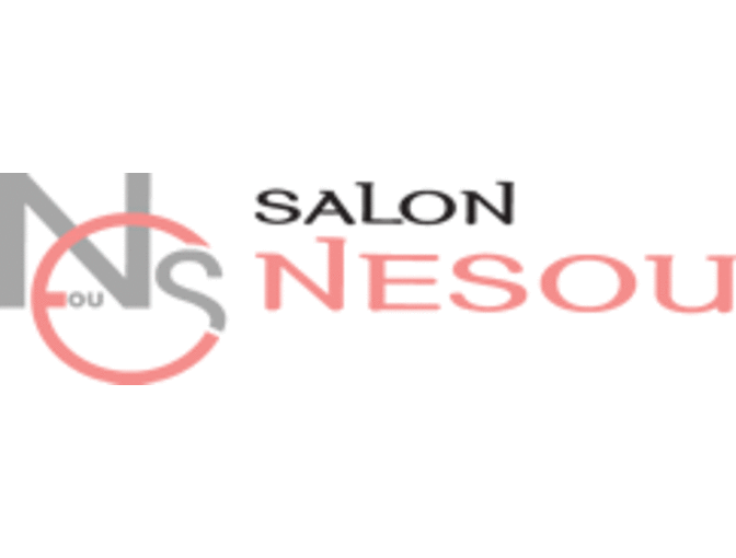 Salon Nesou - Olaplex Conditioning & Blowdry w/ Adrienne Florez