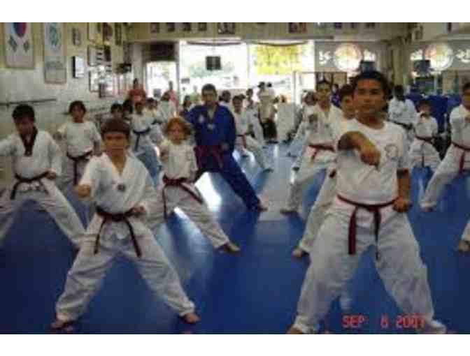 Double Dragon Tae Kwon Do - One (1) Month of TKD training #6