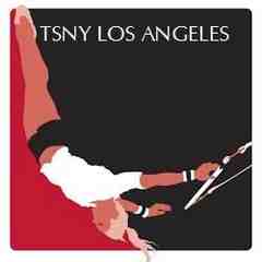 Trapeze School New York