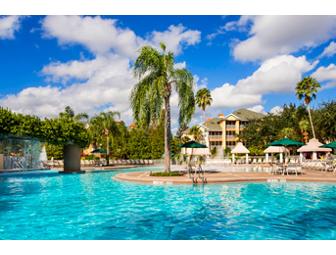 Orlando Magic - November 17-24, 2013