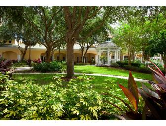 Orlando Magic - November 17-24, 2013