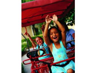 Orlando Magic - November 17-24, 2013