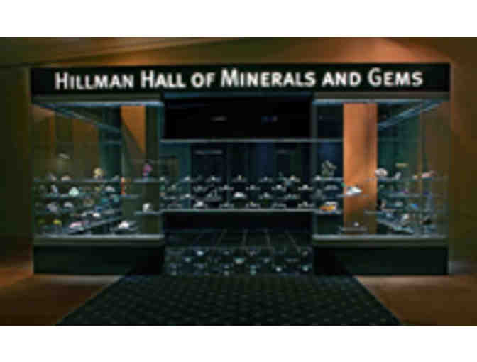 Carnegie Museum Tour for Ten (10 ) of Hillman Hall of Mineral & Gems & the Wertz Gallery