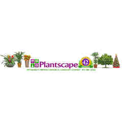 Plantscape - Cindy Urbach