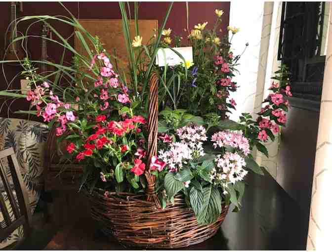 Deluxe Plant Basket and Gift Certificate from Dundalk Garden Center & Florist!