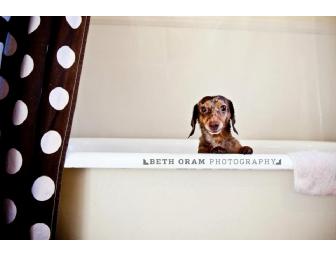 Beth Oram Photography Gift Certificate Pet Photography (New England Only)