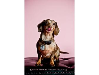 Beth Oram Photography Gift Certificate Pet Photography (New England Only)