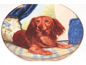Window Seat Beautiful Long Hair Red Dachshund Collector Plate from Danbury Mint